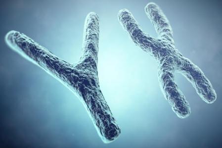 hombres son más vulnerables al cáncer