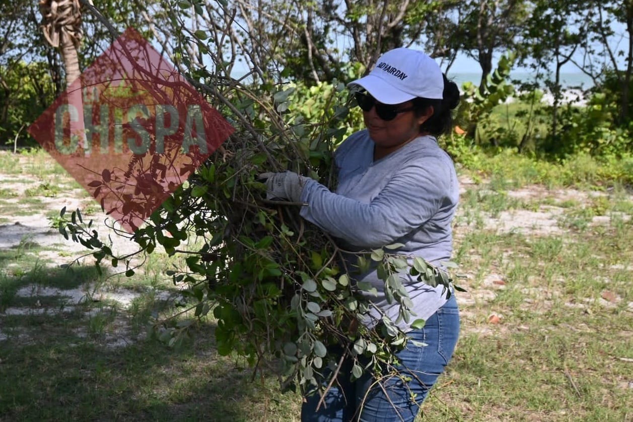 Más de 200 trabajadores del Ayuntamiento del Carmen carecen de herramientas y equipos