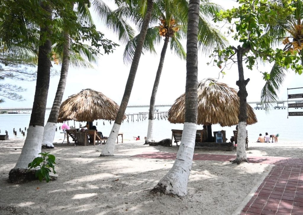 Ambientalista dispuesto a ceder el derecho de la Playita del Guanal al DIF-Carmen