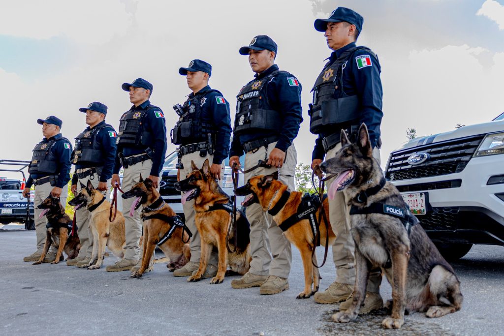 Policías de Campeche aprueban exámenes de control y confianza