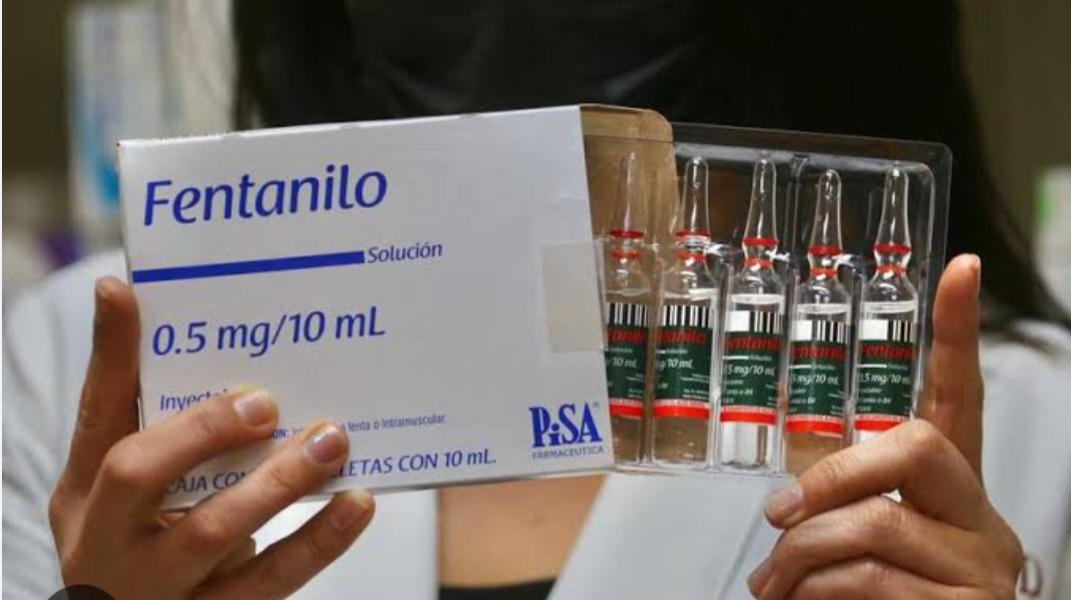 Sedena informó, "durante este gobierno, se han asegurado más de 7 mil kilos de fentanilo"