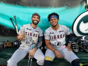 Tigres de Quintana Roo