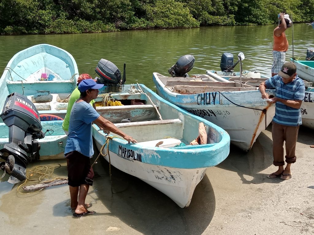 Detectan lanchas con dobles matrículas en Ciudad del Carmen