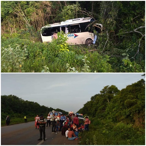 Tragedia en Bacalar: Autobús se sale de la carretera dejando múltiples heridos