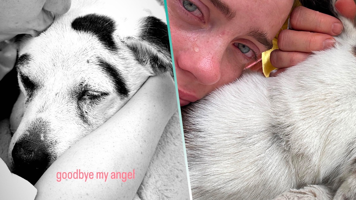 Muere mascota de Billie Eilish y la cantante la despidió a su perrita “Pepper” a través de sus redes sociales.