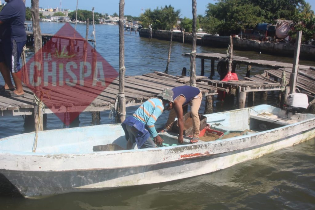 Pescadores ribereños del Carmen solicitan que les regresen el subsidio de la gasolina por el gobierno federal