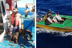 Rescatistas del náufrago y la perrita mexicana narran la vivencia.