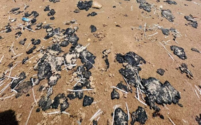 Playas de Tamaulipas con presencia de crudo