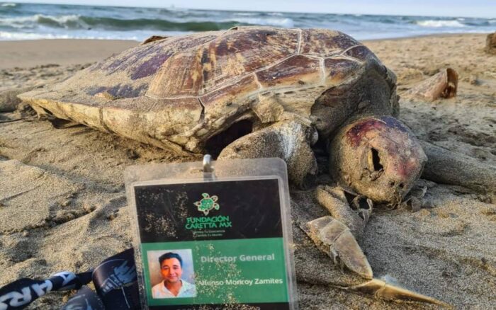 Campamento tortuguero en Veracruz