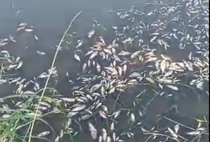 PEMEX sin acuerdos para el pago de hectáreas de tierras que ocupa en Atasta