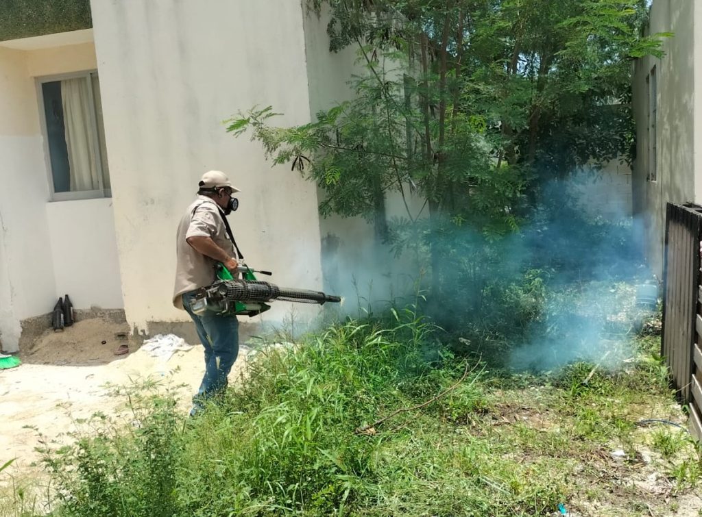 Existen 32 casos de dengue en la población juvenil en el municipio del Carmen