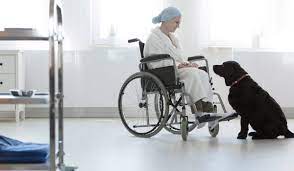 Contribuyen al desarrollo de habilidades sociomecionales