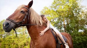 Tener mascotas favorece la salud mental y son eficientes en apoyo a terapias físicas