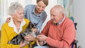El acto de cuidar y asumir responsabilidades hacia una mascota también aporta beneficios mentales