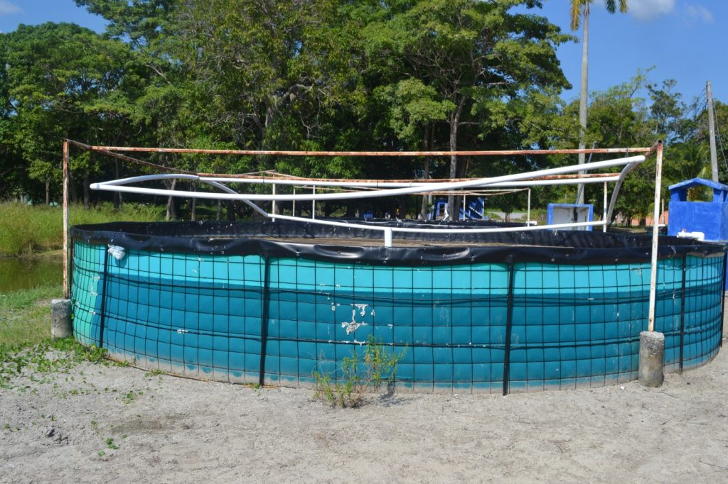 Programa de Bienpesca beneficia al sector acuícola