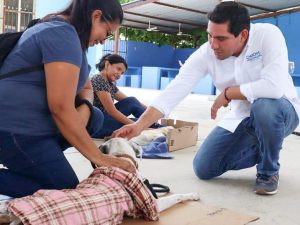 Pérez Ballote habló de su Segundo Informe Legislativo