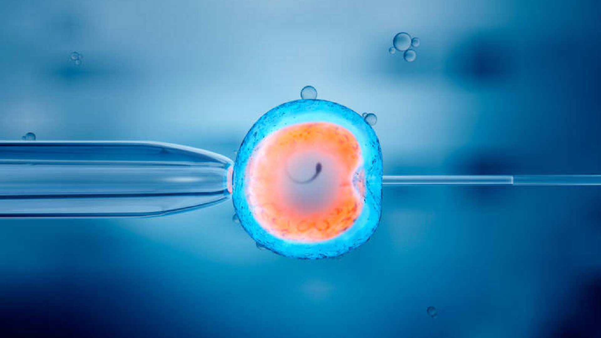 Momento histórico para la medicina: por inseminación post-mortem nace primer bebé en Portugal