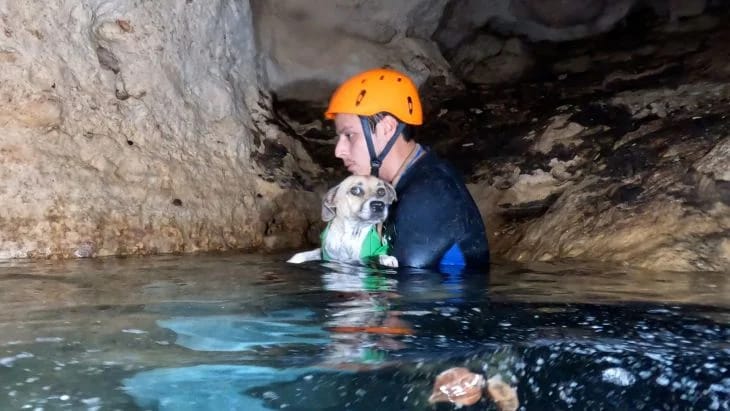 Perrita es rescatada del interior de un cenote por unos buzos en Tecoh Yucatán