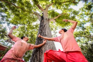 Los bailarines yucatecos darán un taller de tres días en la Ciudad de México