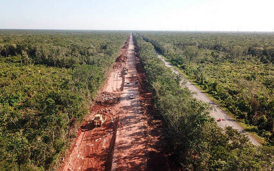 Deforestadas más de 6.6 mil has por Tren Maya; 87% sin autorizaciones, denuncian activistas