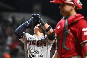Tigres de Quintana Roo