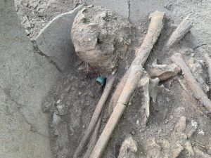 INAH descubre una osamenta humana ataviada con un anillo de jade, en la Zona Arqueológica El Tigre