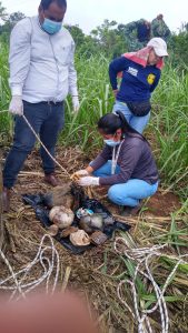 Por crisis forense desaparecidos localizados en fosas múltiples no han sido entregados a familiares