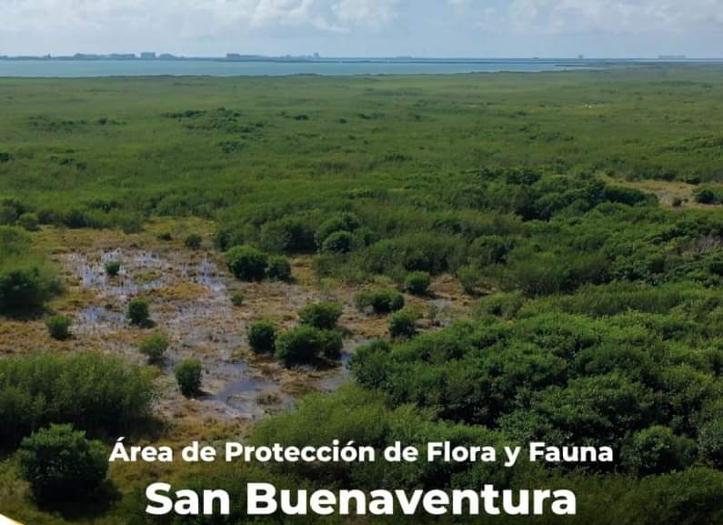 En San Buenaventura, los humedales juegan un papel vital en el control de inundaciones y la protección ante huracanes
