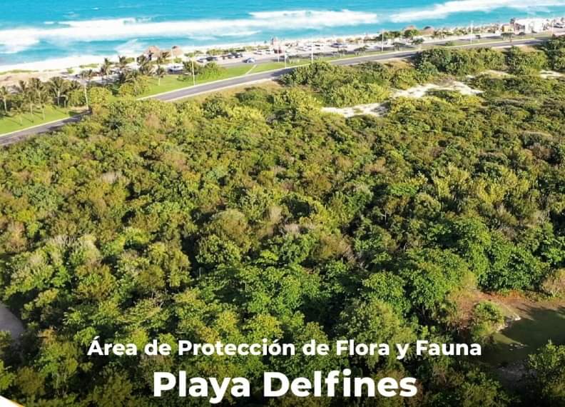 Playa Delfines alberga un delicado ecosistema de selva baja subperennifolia