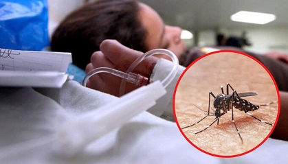 Casos de dengue en aumento en Quintana Roo
