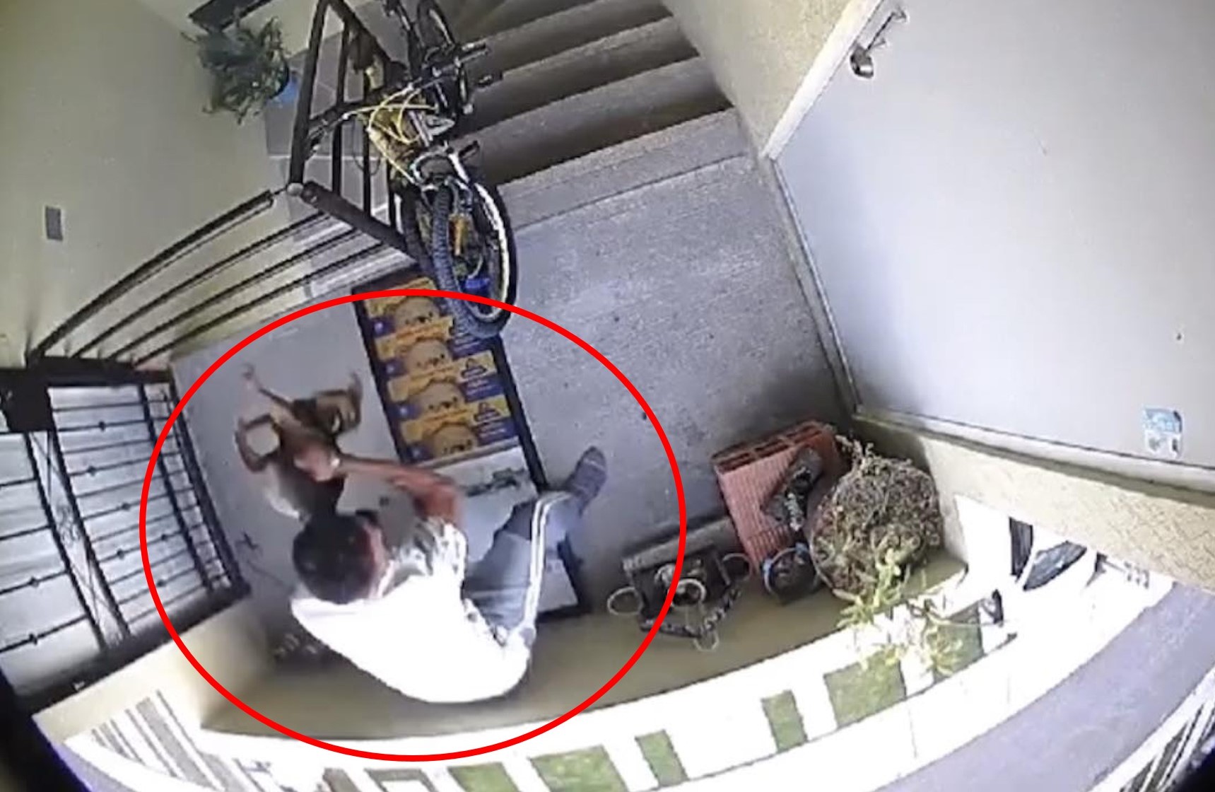 Hombre golpea y avienta una perrita de un tercer piso en Puebla