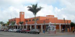 Combaten la proliferación del mosco portador de enfermedades