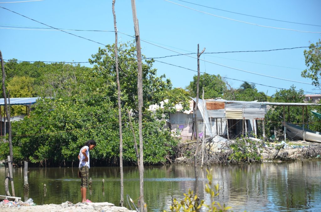 Hábitat del municipio de Carmen se destruye de manera gradual