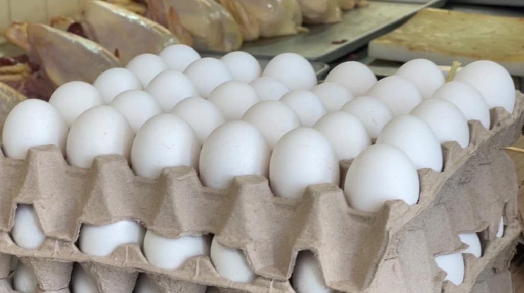 Un golpe más al bolsillo de las familias carmelitas el incremento al precio del huevo