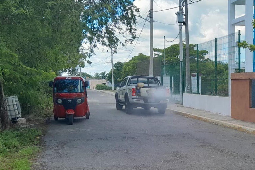 Plaga de mosquitos en la Península de Atasta