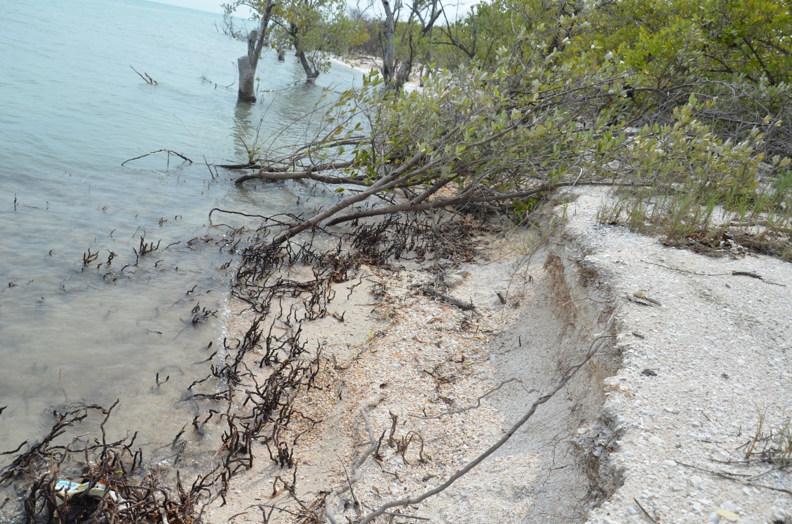 Avanza erosión costera en Ciudad del Carmen