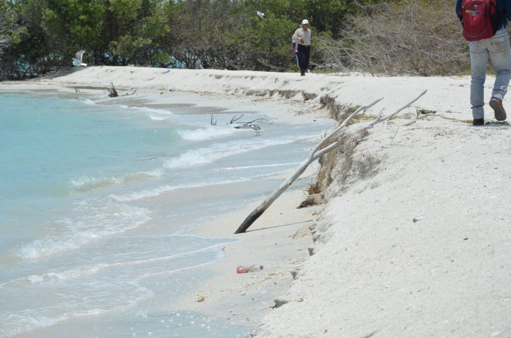 Avanza erosión costera en Ciudad del Carmen