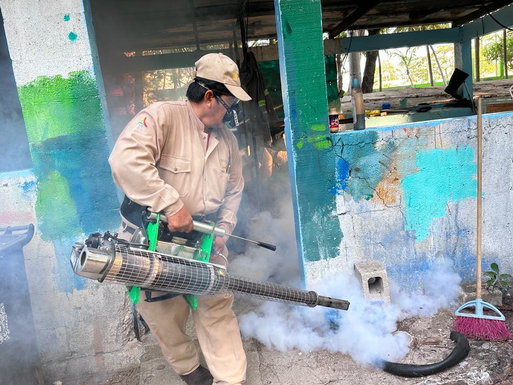 Llaman a la población carmelita a tomar precauciones por la abundancia de mosquitos