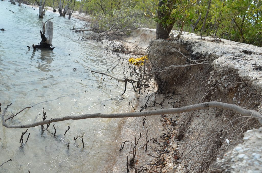 Avanza erosión costera en Ciudad del Carmen