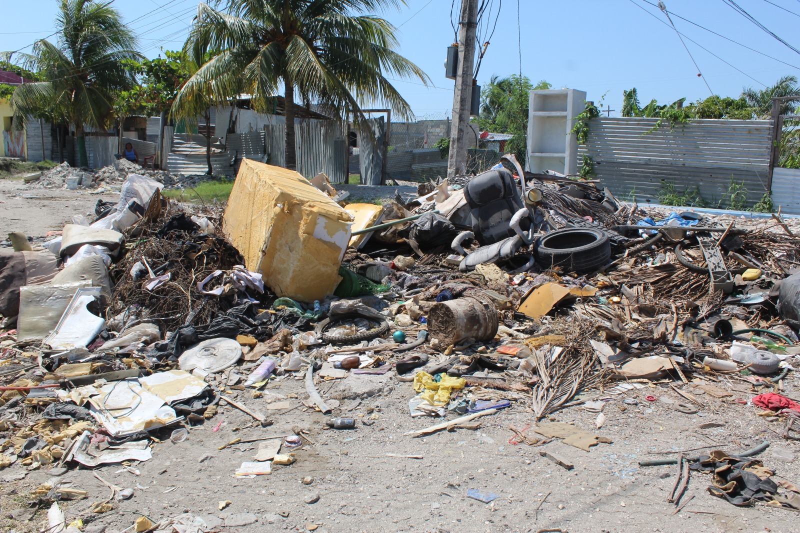 De 10 a 15 toneladas de basura mensual se recogen en basureros clandestinos: En Ciudad del Carmen