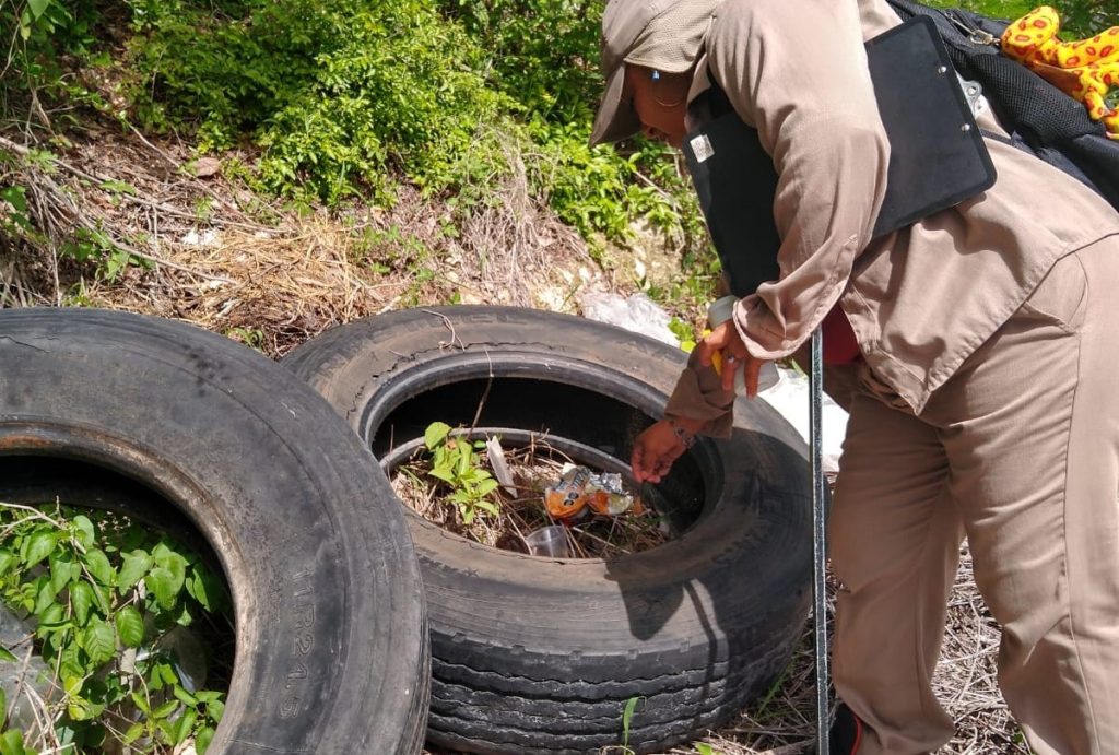 Piden fumigación constante en la Península de Atasta