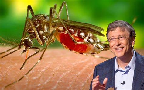 Bill Gates crea mosquitos