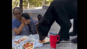 Esta familia vivió un día de terror cuando recibieron a un invitado inesperado