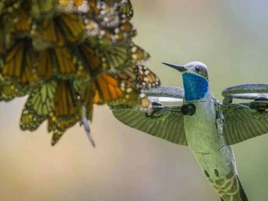 Un colibrí robot