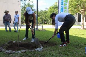 El programa “Arborizando Yucatán” cuenta con diversas vertientes entre las que se incluye “Un Niño, Un Árbol”