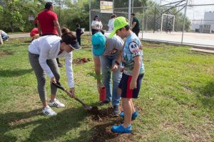 El plan de manejo de la vegetación, que aplica a todos los tramos, incluye un total de 13,820 árboles