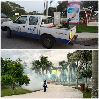 Siguen las medidas de combate contra el mosquito en Yucatán, la Secretaría de Salud del Estado informa.