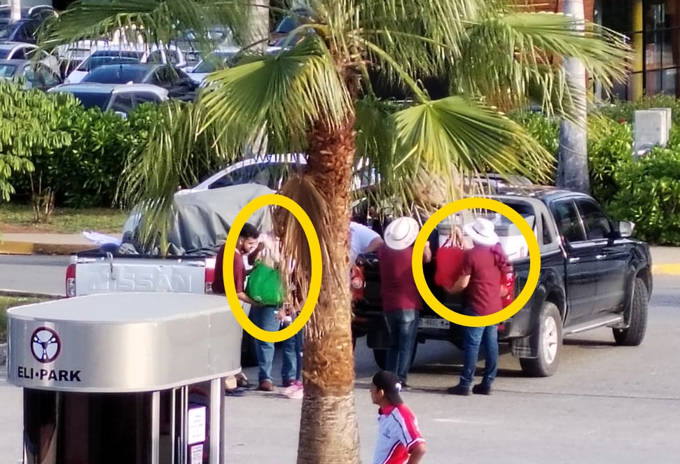 “Grillos en su Tinta”, la imposición. 
