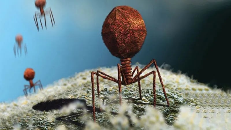 Científicos descubren un nuevo virus