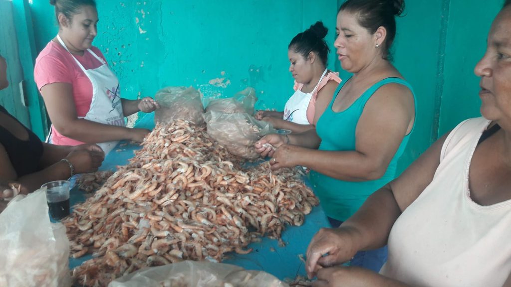 Sobreexplotación del camarón siete barbas se evitaría con la modificación a la veda: En Ciudad del Carmen
